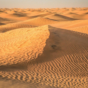 Sahara
