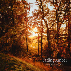 Fading Amber by David Albornoz
