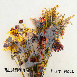 Fool's Gold by Pullstring