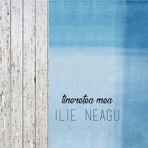 Ilie Neagu - E Dumnezeu
