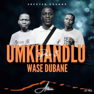 Erected Sounds, Sdukuduku RSA & Dbn Shandiss - Best Combo