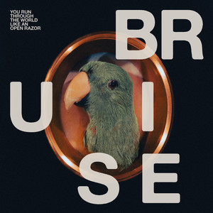 The Pressure by Bruise Blood