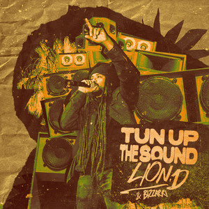Tun up the sound by Lion D, Bizzarri