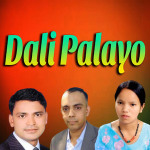Bimalraj Chhetri, Raju Pariyar & Bishnu Majhi - Dali Palayo (feat. Kamal Khanal)