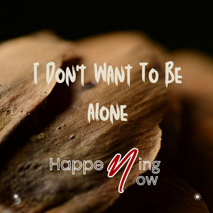 I Don't Want To Be Alone by Happening Now