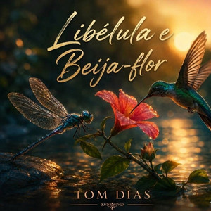 Libélula e Beija-Flor by Tom Dias
