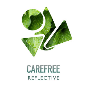 zZz Carefree Reflective Rain zZz album