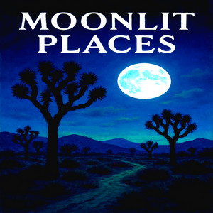 Moonlit Places by MCRockyLee, L.A.S.A.