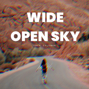 Wide Open Sky by Owen Coleman