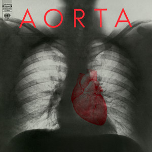 Aorta | Spotify