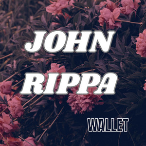 Wallet - Radio Edit by John Rippa