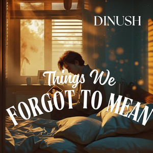 Things We Forgot to Mean by Dinush