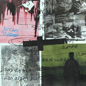 Stray Dogs album cover