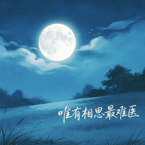 唯有相思最难医 - 相思的病最难医对唱版 by 海来兄弟, 钟心妍