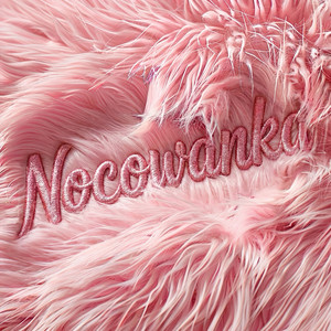 Nocowanka