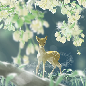 预言家 by 沈以誠