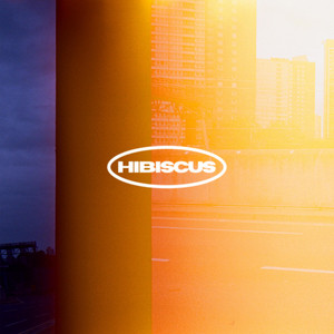 Hibiscus by sooty, Michael In Denim, Limmz
