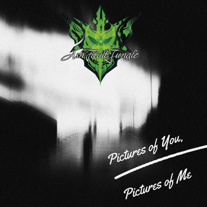 Pictures of You, Pictures of Me by Ash Fault Jungle