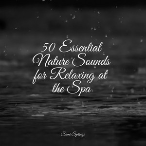 50 Essential Nature Sounds for Relaxing at the Spa album