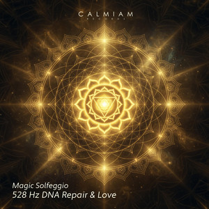 528 Hz Forest Transformation by Magic Solfeggio