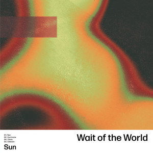 Thirty by Wait of the World