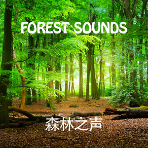 Tony Star - Magical Forest