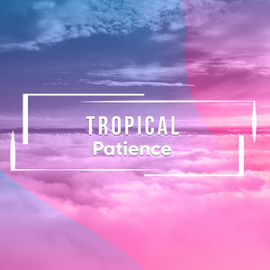 # 1 Album: Tropical Patience album