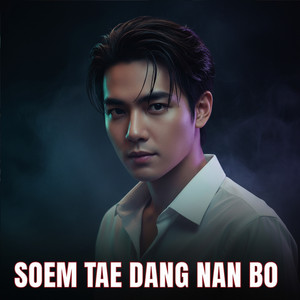 Soulvex Aura - Soem Tae Dang Nan Bo