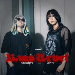 Bass Level by Maozon, ZtoN