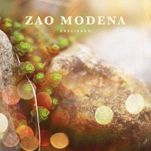 Creciendo by Zao Modena