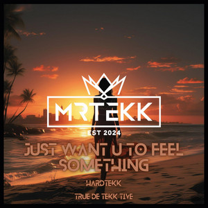 MRTEKK - Just want u to feel something (feat. TEKKISLOVE) [Hardtekk]