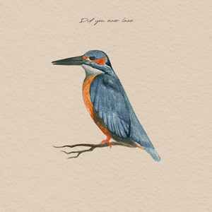 Did You Ever Love by Rory Dinwoodie