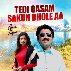 Ajmal Sajid - Tedi Qasam Sakun Dhole Aa