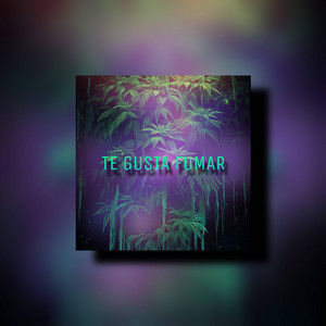 Te Gusta Fumar by La Yari No Bulla