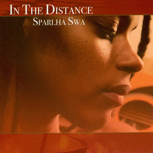 In The Distance cover