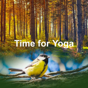 Time for Yoga
