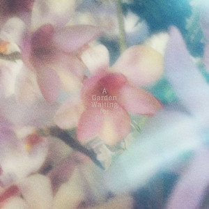 A Soft Evening Somewhere by Alves, rionos, Kangseoha