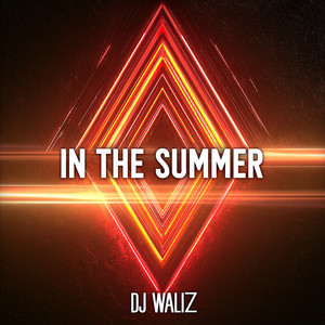 In The Summer by DJ Waliz