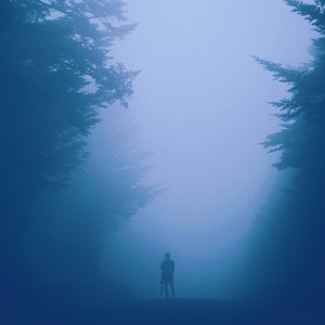 Portada de numb