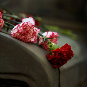 Leslie Avi - We should leave