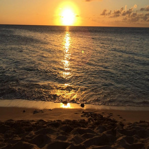 Faith McGuire - Wings (Cover)