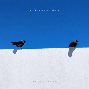 No Reason to Move by Vital Varkovic