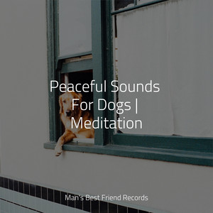 Peaceful Sounds For Dogs | Meditation album