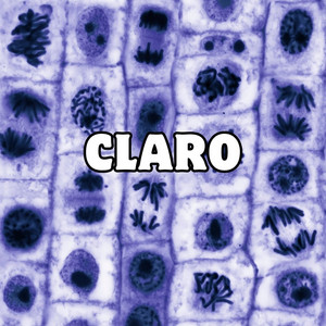 claro by victor ojo