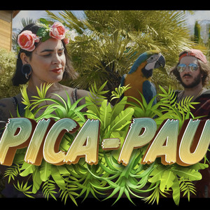 Pica Pau Pau Pau