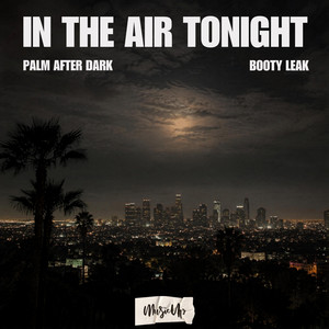 In The Air Tonight by palm after dark, BOOTY LEAK
