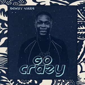 Go Crazy by Donzy vibes