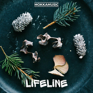 MokkaMusic - Lifeline