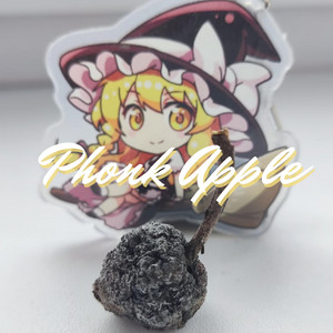 Phonk Apple