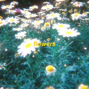 omgkirby & azayaka - Flowers - Lofi Version